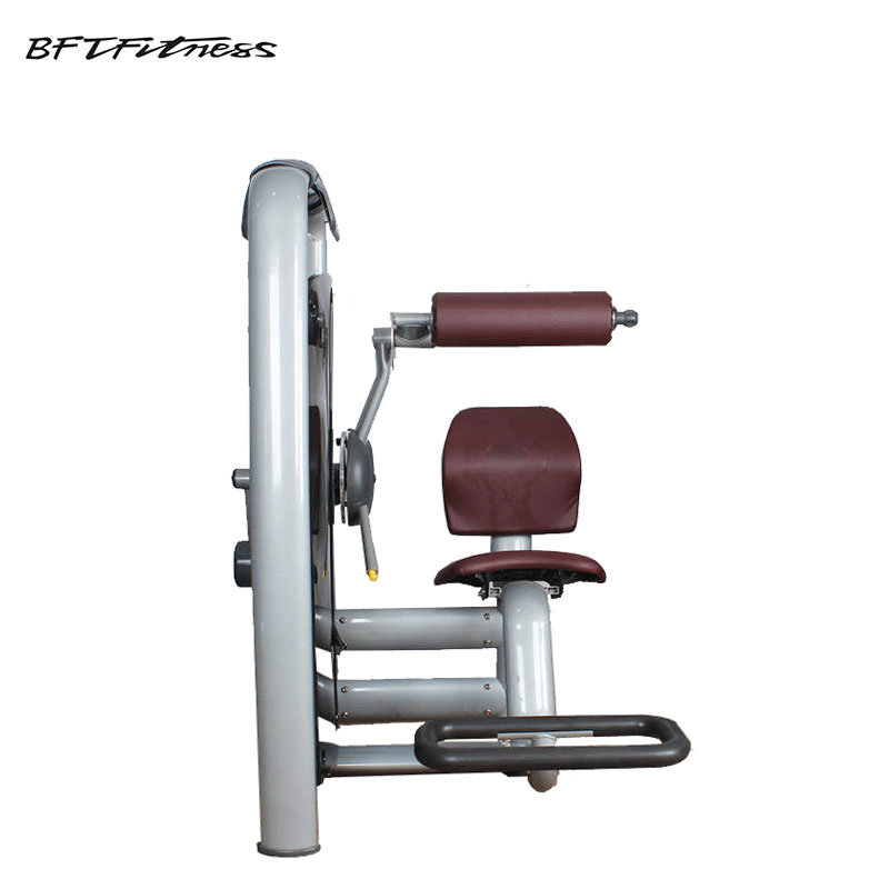Lower Back Exercise Equipment Flex Fitness Gym Equipment (BFT-2017)