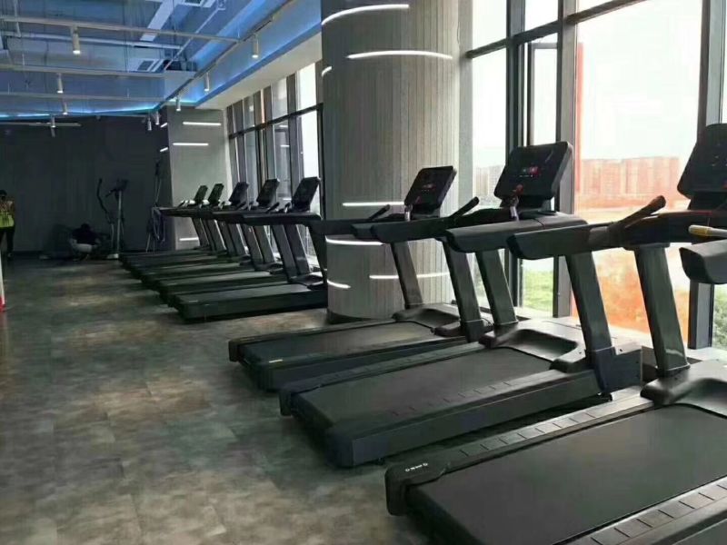 Professional Treadmill Gym Fitness/Motorized Commercial Treadmill