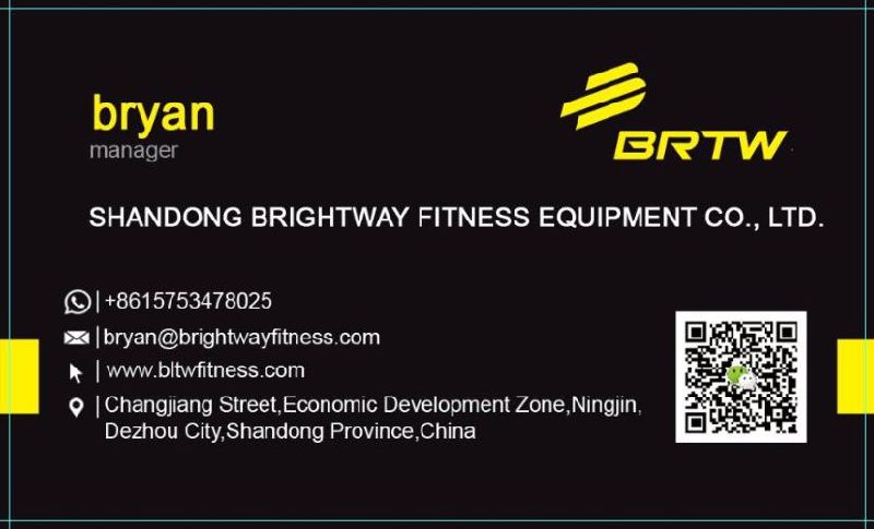 Brightway Fitness ISO 9001 Certified Fitness Equipment Gym Lateral Rise