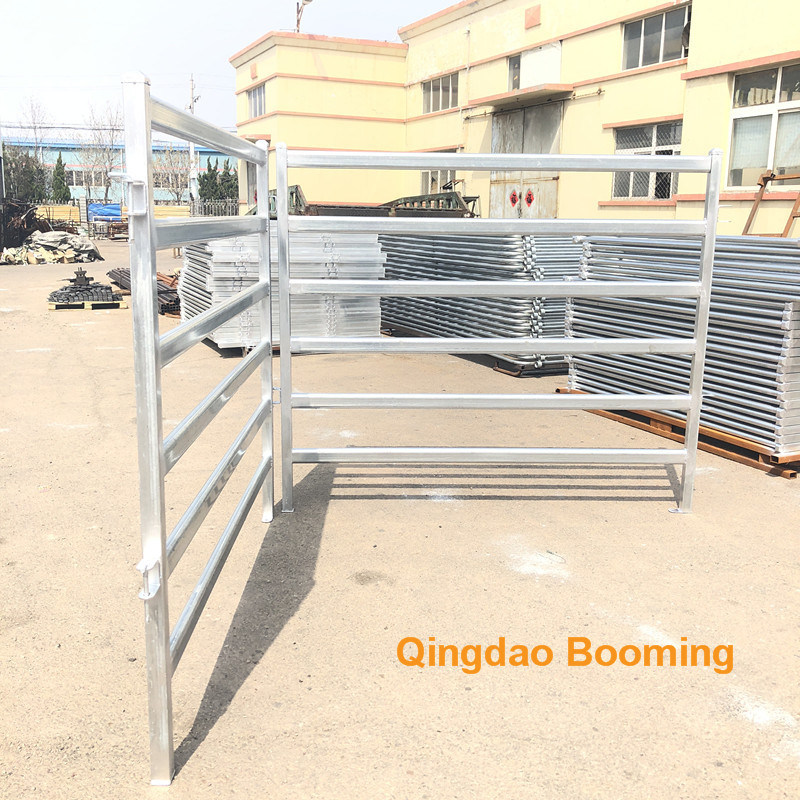 Comfortable Cow Free Stalls for Dairy Farm Equipment