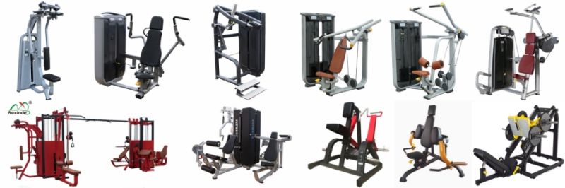 Ce Approved Plate Loaded Gym Equipment Low Row (AXD-725)