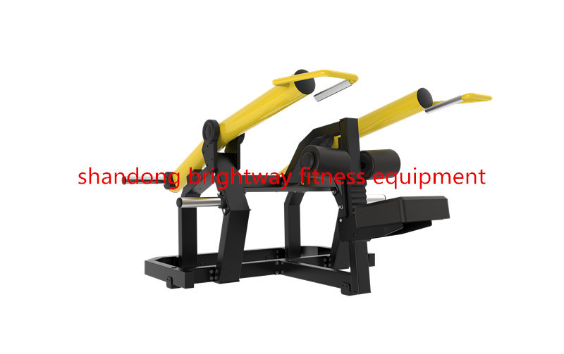 Sport Body Strong Fitness Training Equipment Tg60 Triceps with SGS Certificate