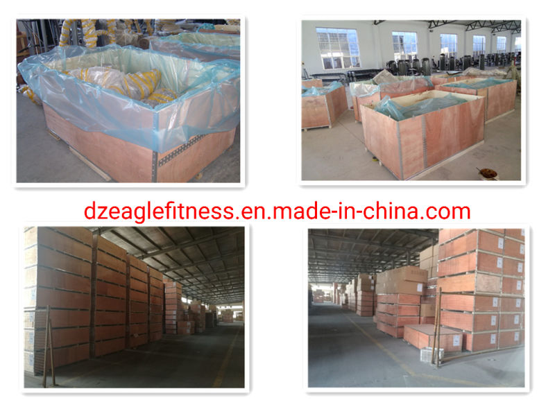 Wholesale Body Building Multi Jungle Training Machines Gym Fitness Equipment