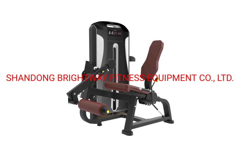 High Quality Wholesale Gym Equipment/Tq13 Leg Extension