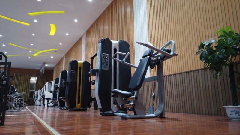 Fitness Equipment /Fitness Equipment /Gym Fitness/Bodybuilding Machine Pulldown Ld-9035