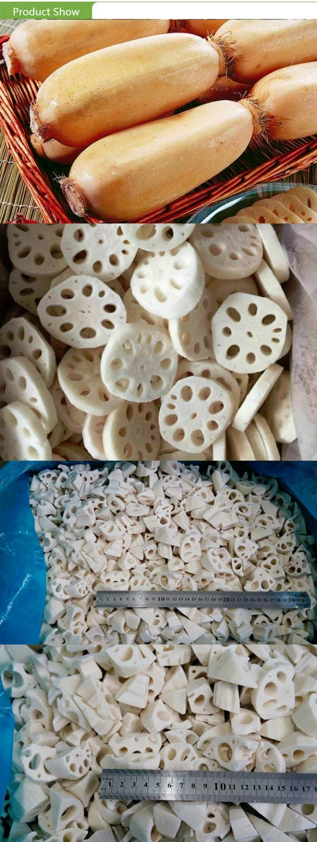 Frozen Lotus Root- High Quality and Best Price