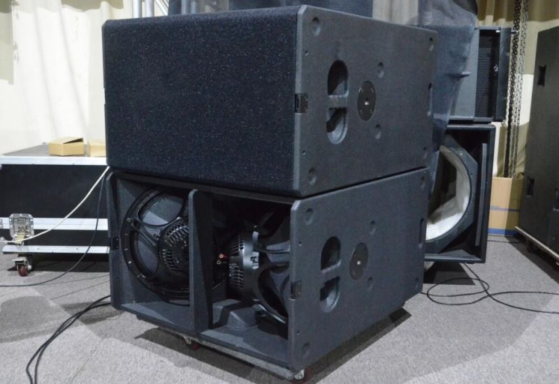 Professional Line Array Subwoofer Dual 15 Inch 1000W Power Line Array Subwoofer