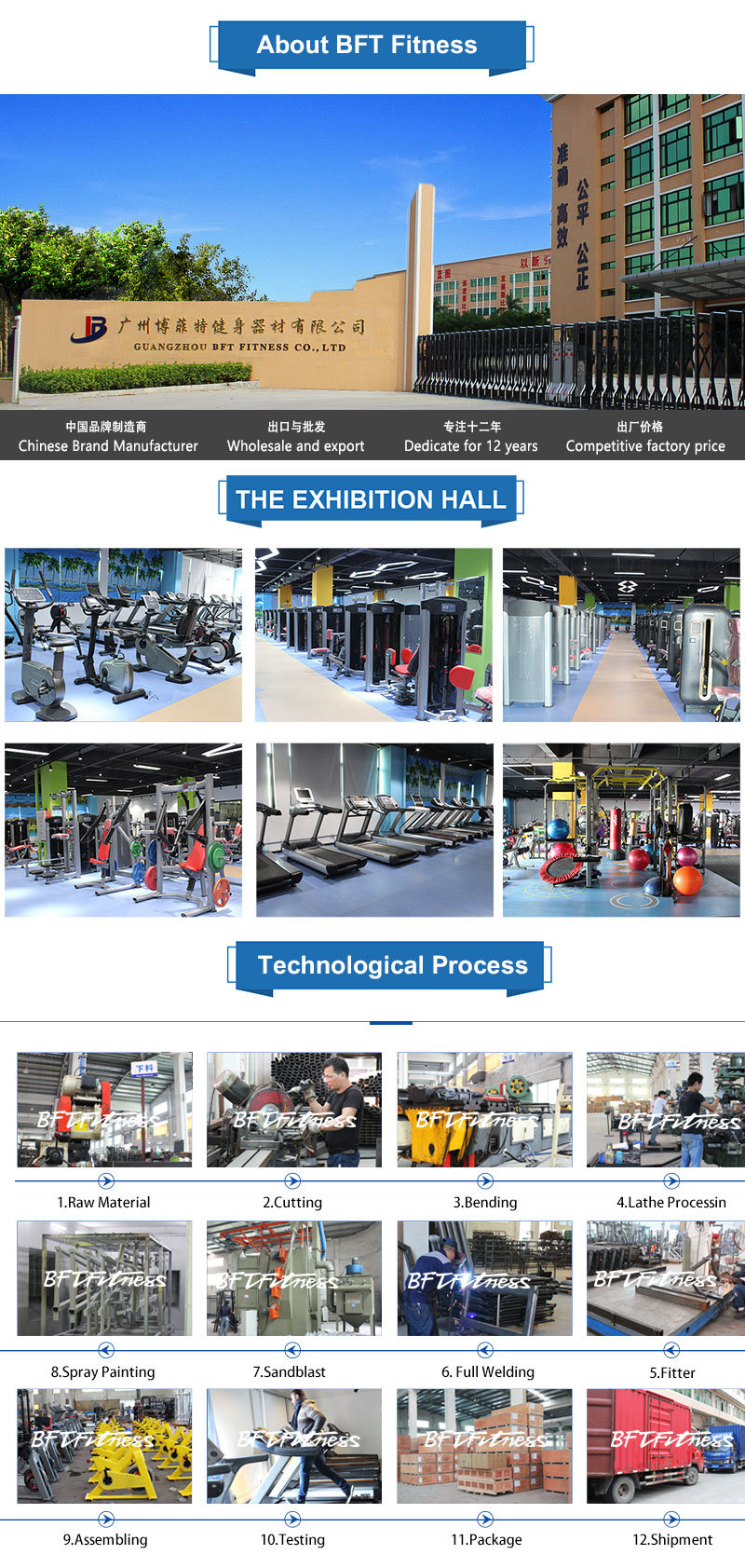 Bft-1002 Hot-Sale Free Weight Gym Machine/Hammer Strength/Plate Loaded Machine