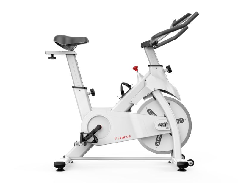 Hot Sell 6-22kg Flywheel Exercise Bike and Spinning Bike for Home Exercise