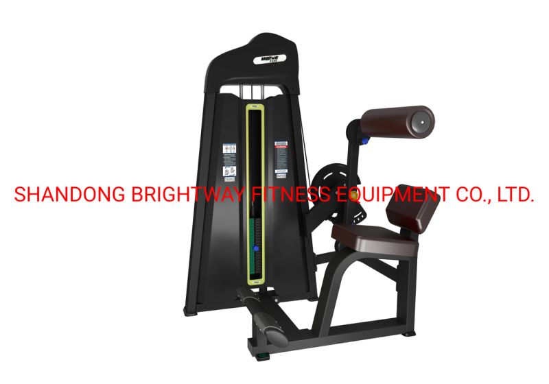 Best Material Gym Fitness Equipment Abdominal Isolator with SGS Certificate for Latin-America Market