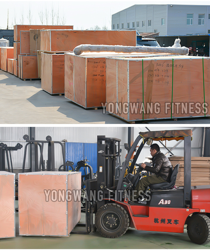 Gym Equipments Horizontal Leg Curl /Commercial Fitness Equipment Horizontal Leg Curl