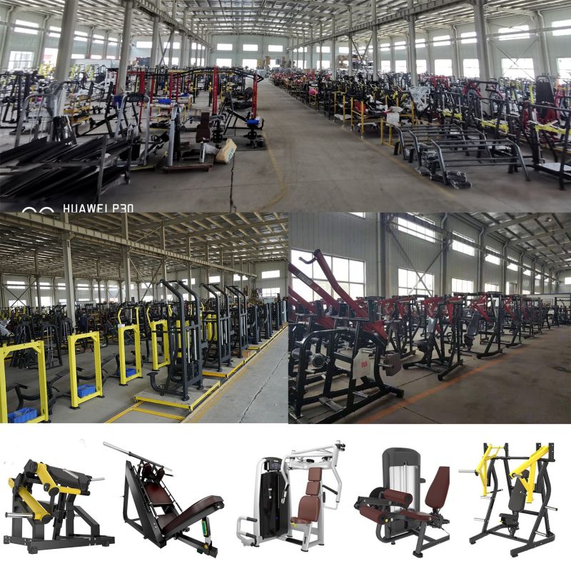 Tb34 Ce Approved Brightway Vertical Row Fitness Equipment