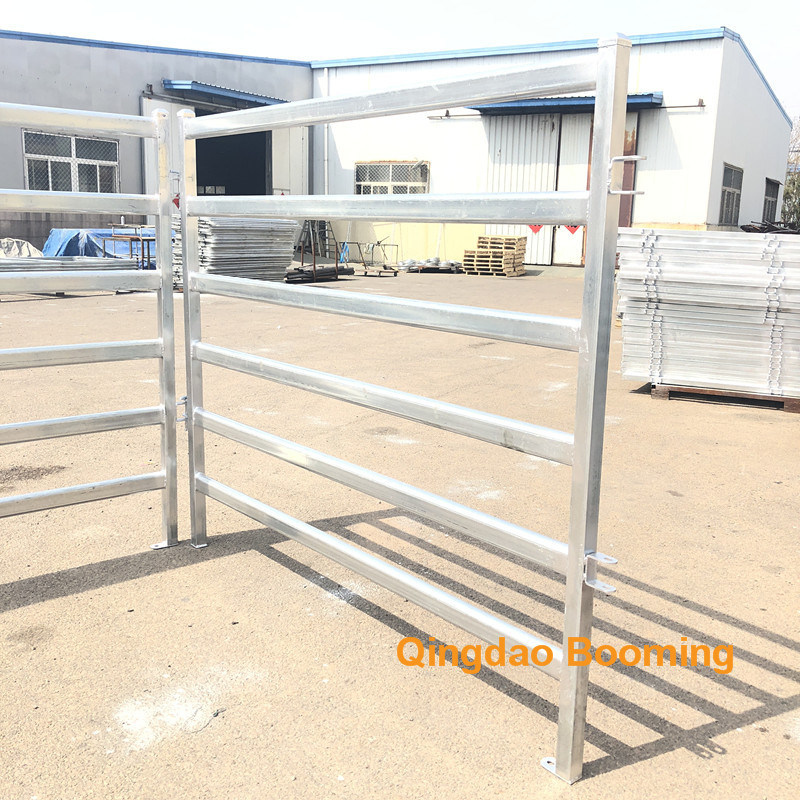 Comfortable Cow Free Stalls for Dairy Farm Equipment
