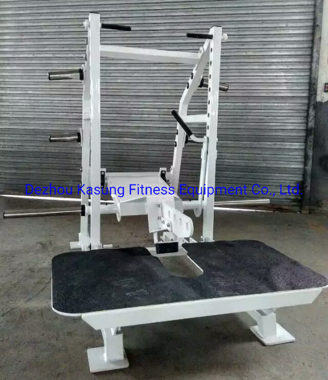 Excellent Wall Mounted Fitness Equipment Lat Pulldown Low Row with Competative Price