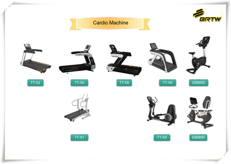 Fitness Equipment/Commercial Gym Equipment/ Triceps Press Machine