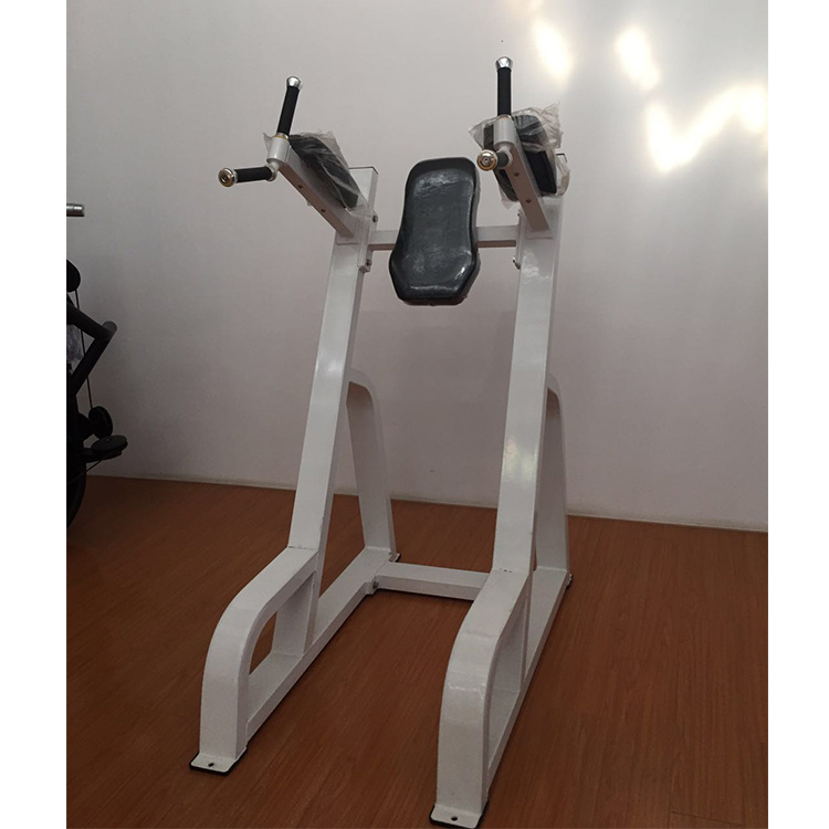Commercial Gym Equipment Fitness Equipment Knee Raise