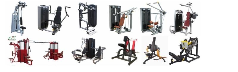 2020 Popular Commercial Fitness Gym Equipment (AXD-5019 Abdominal Isolator)