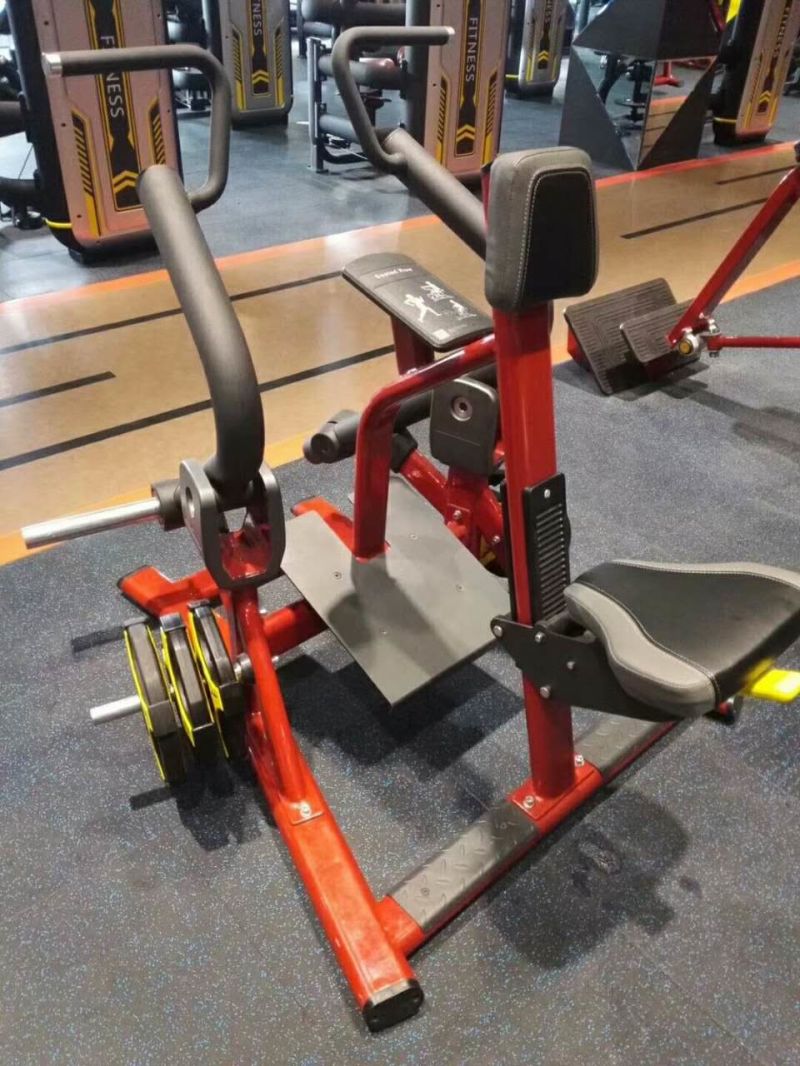 Low Row, Seat Row, MID Row, Fitness Row, Fitness Equipment Row, Gym Equipment, Dpl309 Seated Row