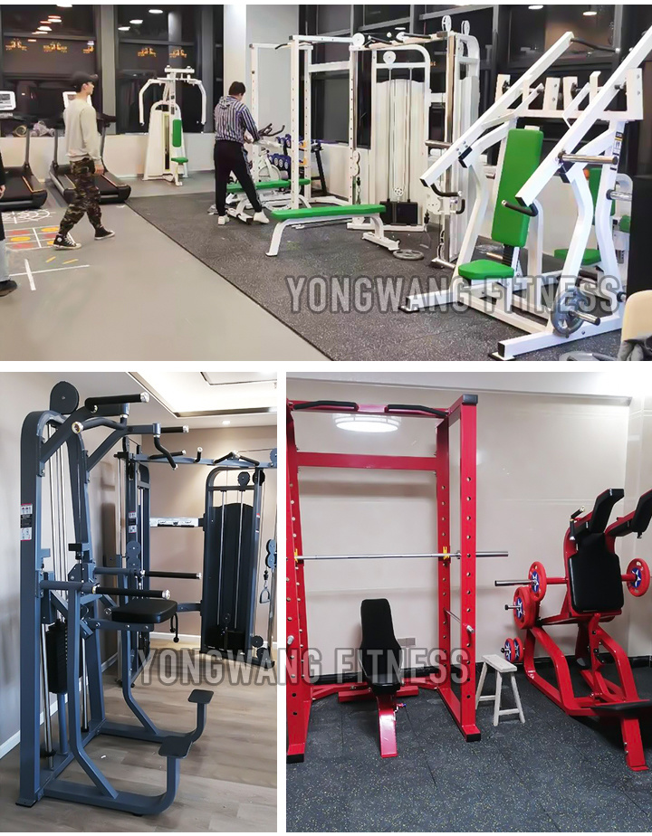 Gym Fitness & Body Building Abdominal Exercise Abdominal Isolator