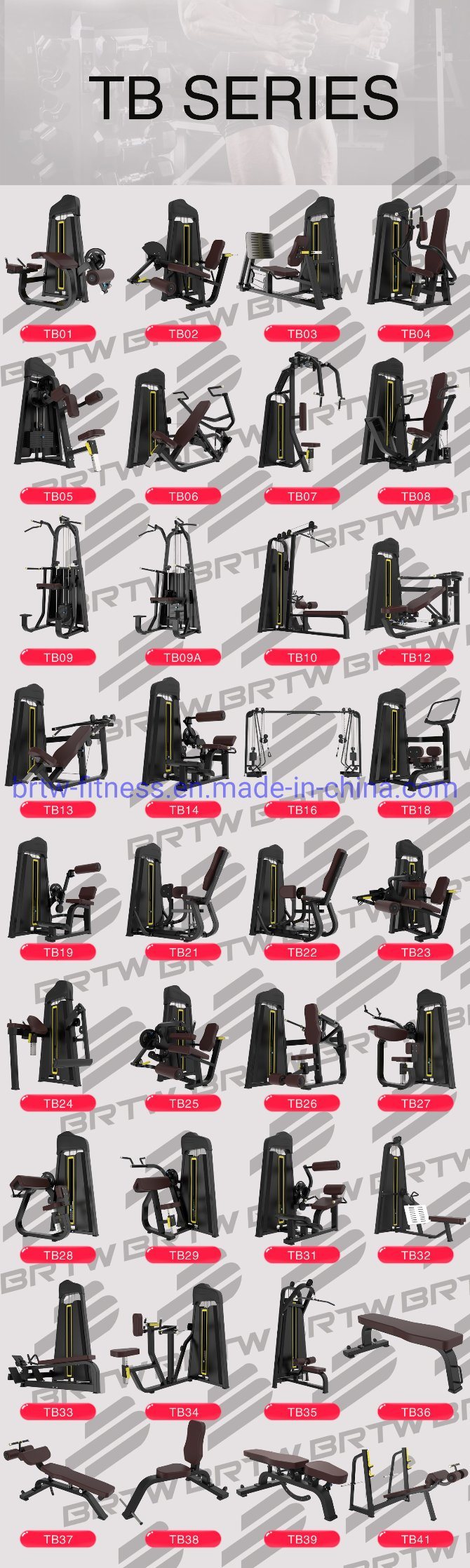 Tb34 Ce Approved Brightway Vertical Row Fitness Equipment