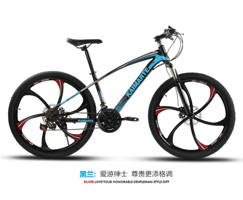 New Style Sport Cheap Mountain Bicycle Bike