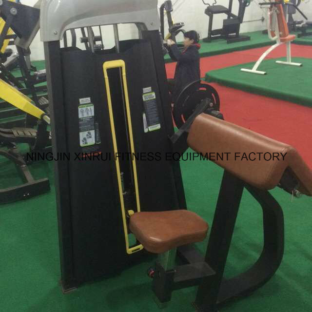Glute Isolator Gym Fitness Equipment Machine