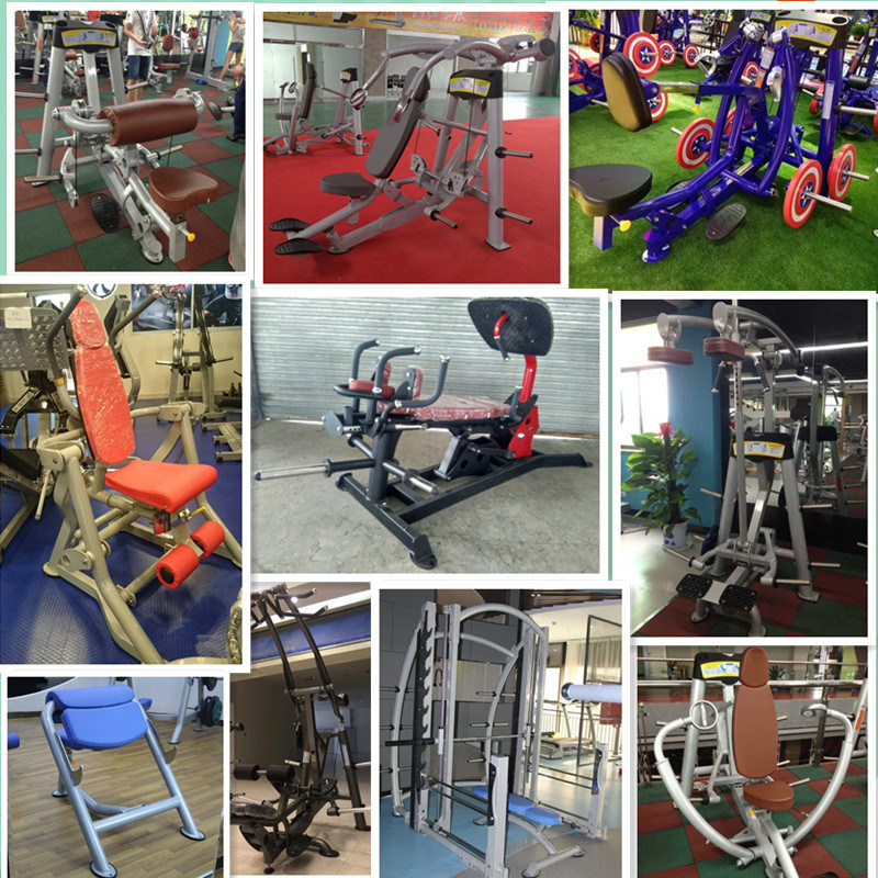 Fitness Equipment Plate Loaded Biceps Curl Machine