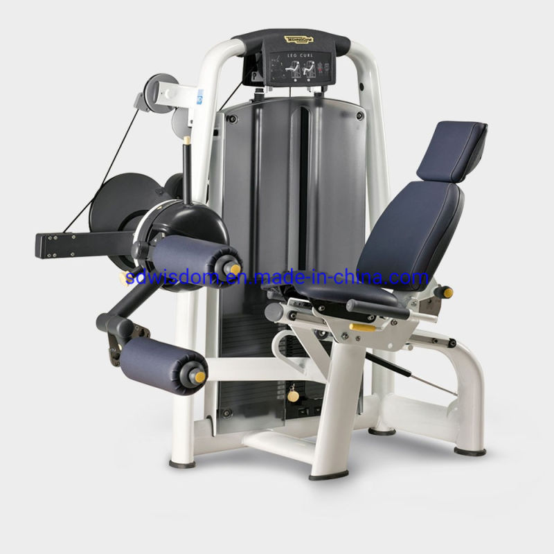 Shandong Factory Wholesale Seated Leg Curl Machine Gym Equipment