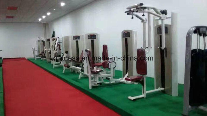 Latest Exercise Equipment Seated Leg Curl Machine
