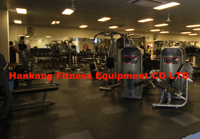 Gym and Gym Equipment, Fitness, Body Building, Hammer Strength, Low Row (HP-3014)