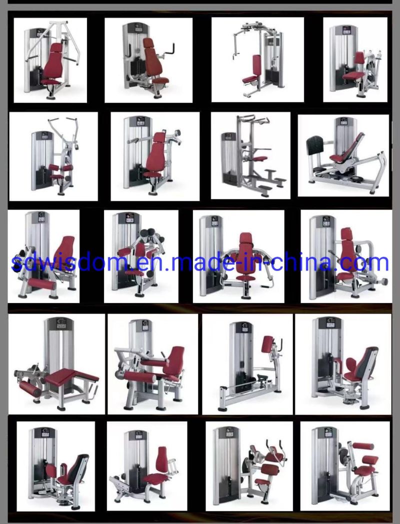 Gym Equipment Fitness Ll5017 Seated Leg Press Knee Exercise Machine