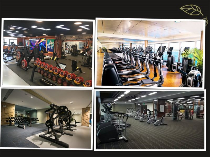 Commercial Indoor Abdominal Isolator for Fitness Center