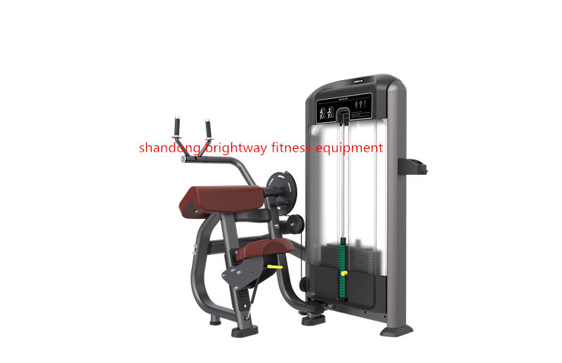 Brtw Brightway Professional Commercial Fitness Equipment TF06 Triceps Press