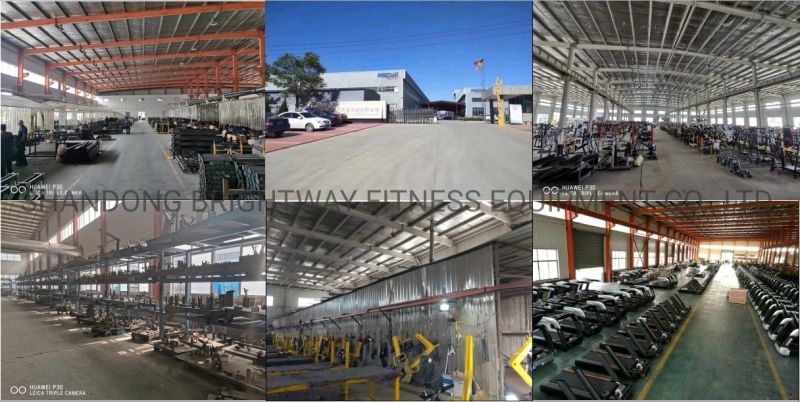 Te06 Triceps Press Gym Exercise Machine Fitness Equipment