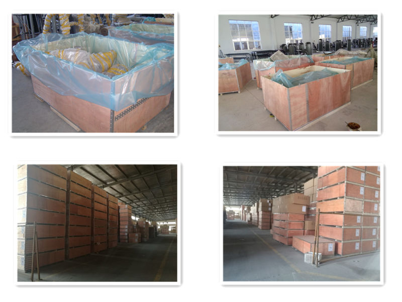Dezhou Factory Precor Gym Fitness Equipment for Vertical Row