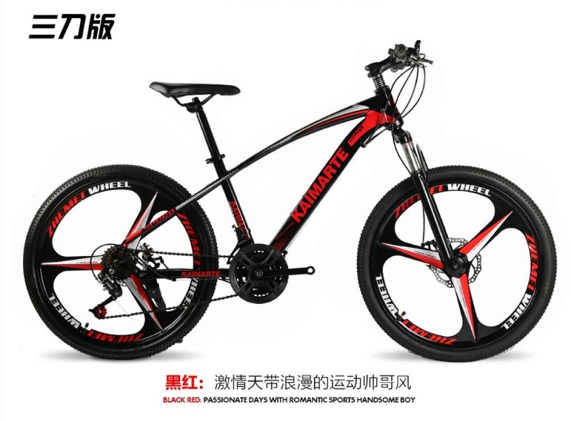 New Style Sport Cheap Mountain Bicycle Bike