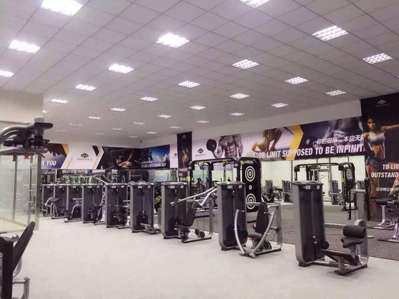 Commercial Fitness New V6 Hip Abductor/ Adductor Bodybuilding Gym