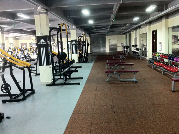 ISO-Low Row