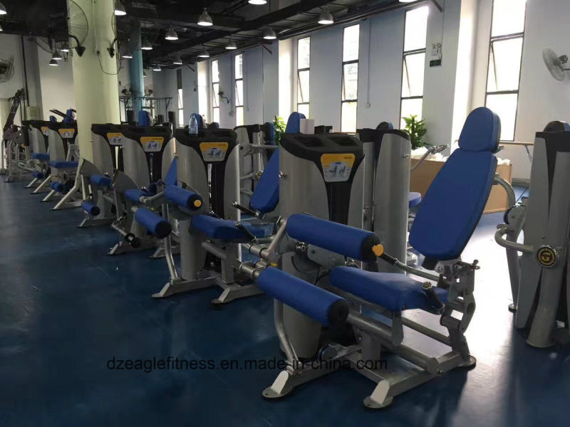 Leg Curl /Commercial Training Equipment/Sports Equipment /Gym Exercise Machine