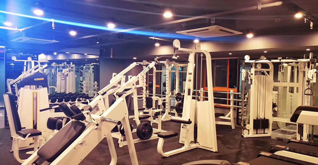 Px-1042 Commercial Fitness Strength Equipment / Gym Training Equipment