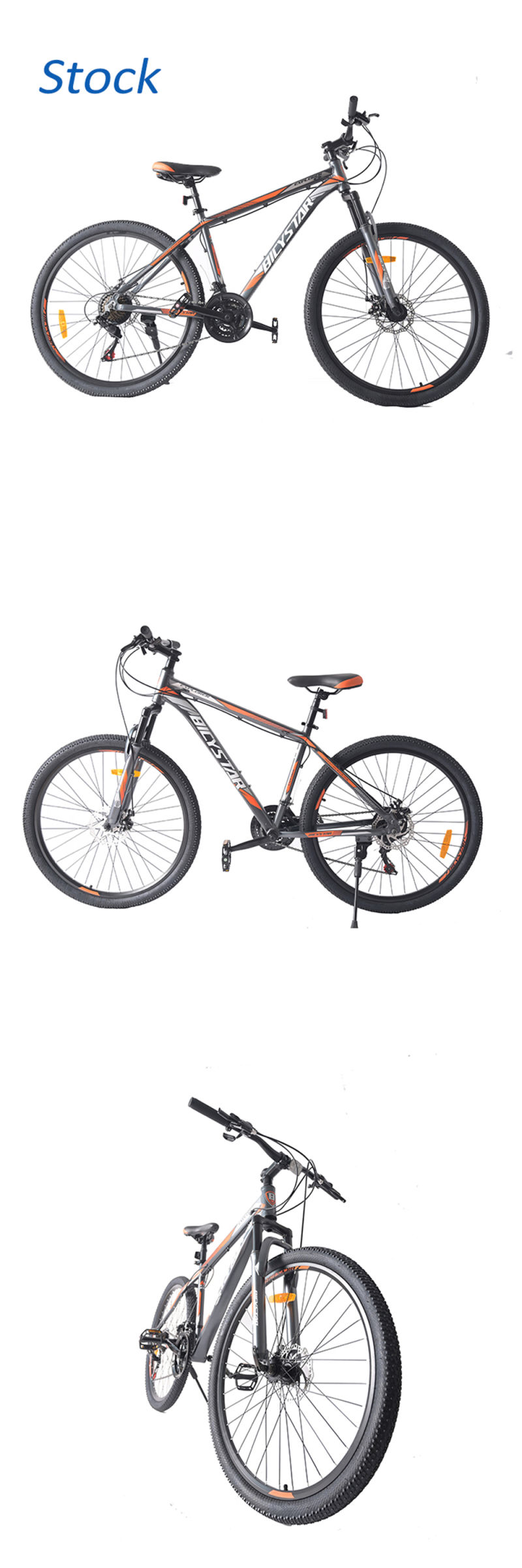 Full Suspension Sport Cycle Bicycle MTB Bicycle