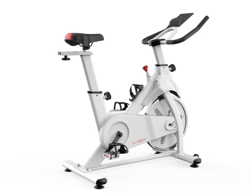 Hot Sell 6-22kg Flywheel Exercise Bike and Spinning Bike for Home Exercise
