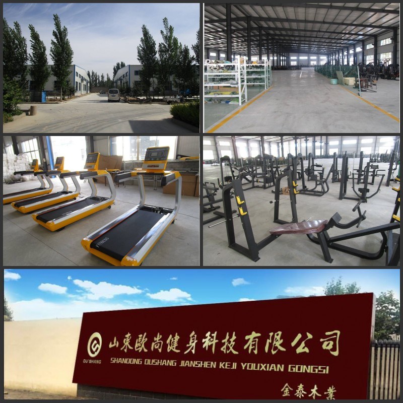 Commercial Gym Equipment Seated Leg Curl OS-1021