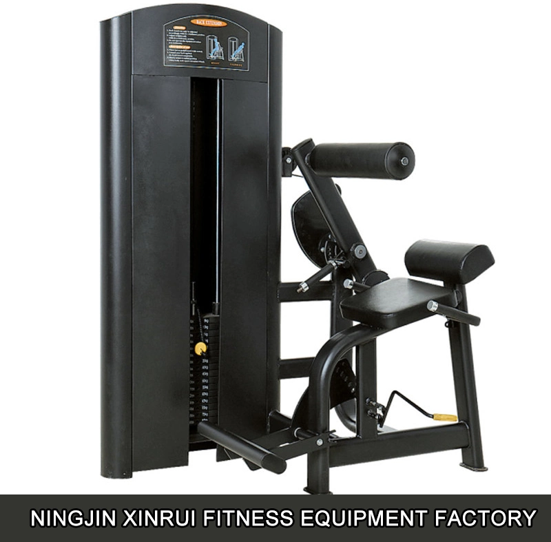 Manufacturer Supply Fitness Gym Use Sports Equipment Back Extension Xf20