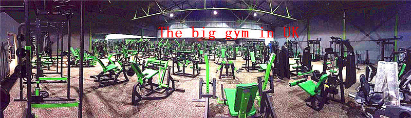 Hot Sell Gym Equipment Bodybuilding ISO-Lateral Low Row