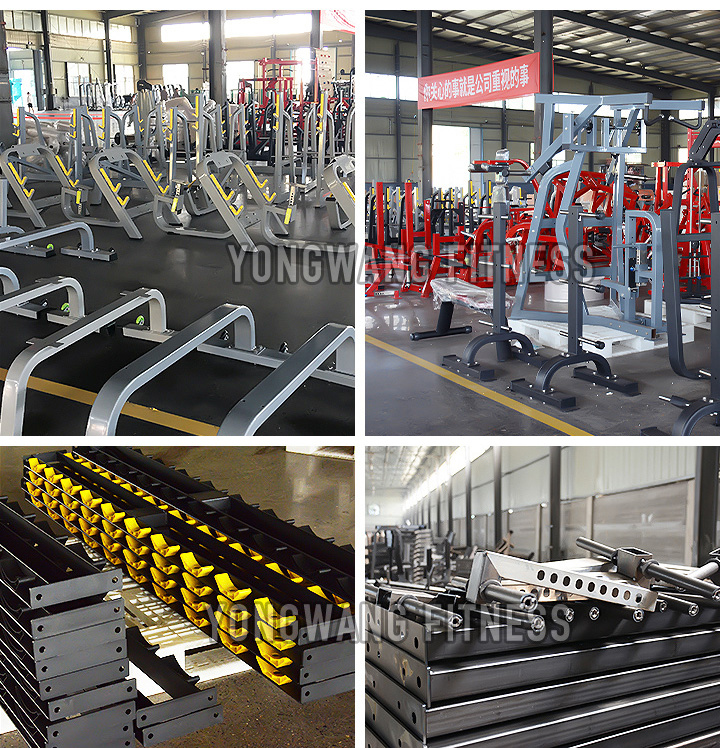 Gym Use Plate Tree Rack Plate Loaded Yw1701 Vertical Plate Tree