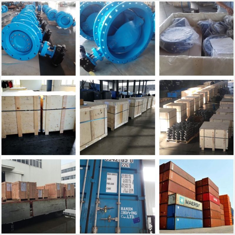 China Double Flanged Double Eccentric Rubber Seated Butterfly Valve