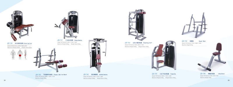 Commercial Strength Equipment Factory Price Low Row