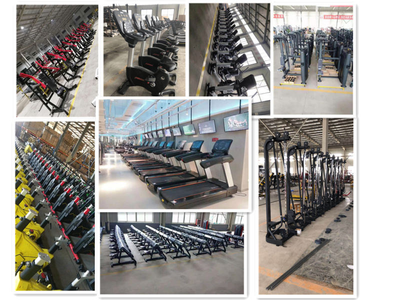 Brtw Fitness Commercial Fitness Equipment TM25 Low Row with SGS Certificate