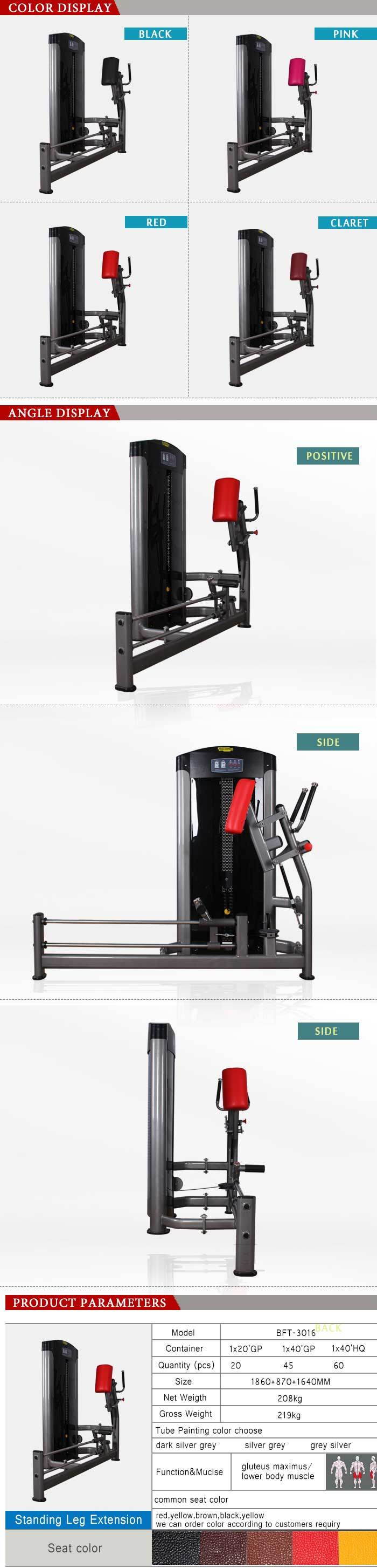 Glute Exercise Machine /Gyms with CE (BFT-3016)